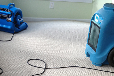 Rutubet Kurutma Esenler