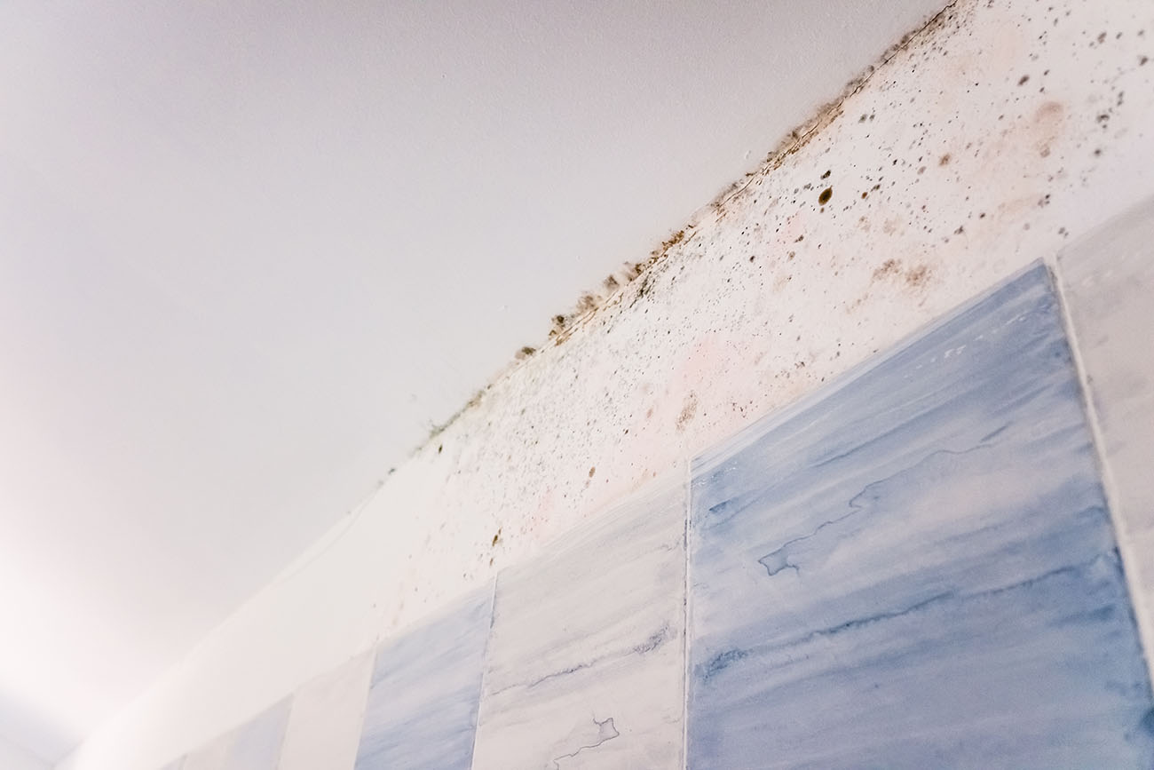 Yeni Binada Rutubet Neden Olur?