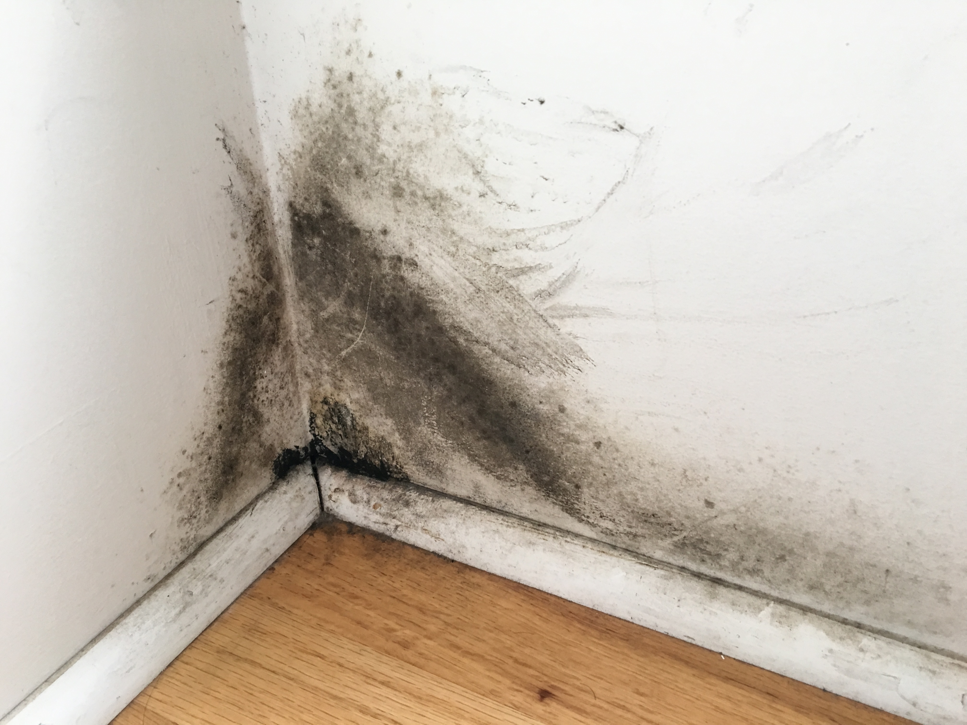 Sağlıklı Bir Ev İçin Nem ve Rutubet Kontrolü