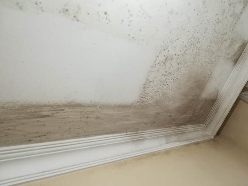 Rutubet Ciğerlere Zarar Verir Mi?